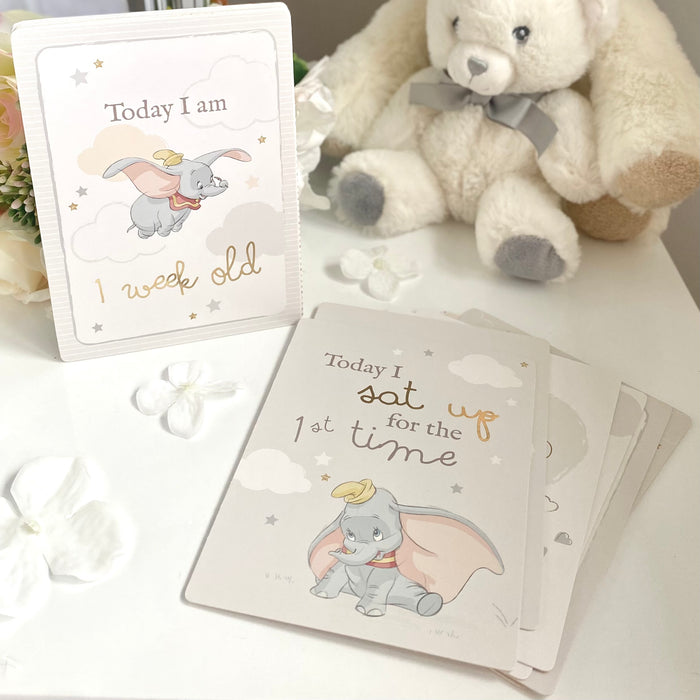 Milestone Cards by Disney Baby