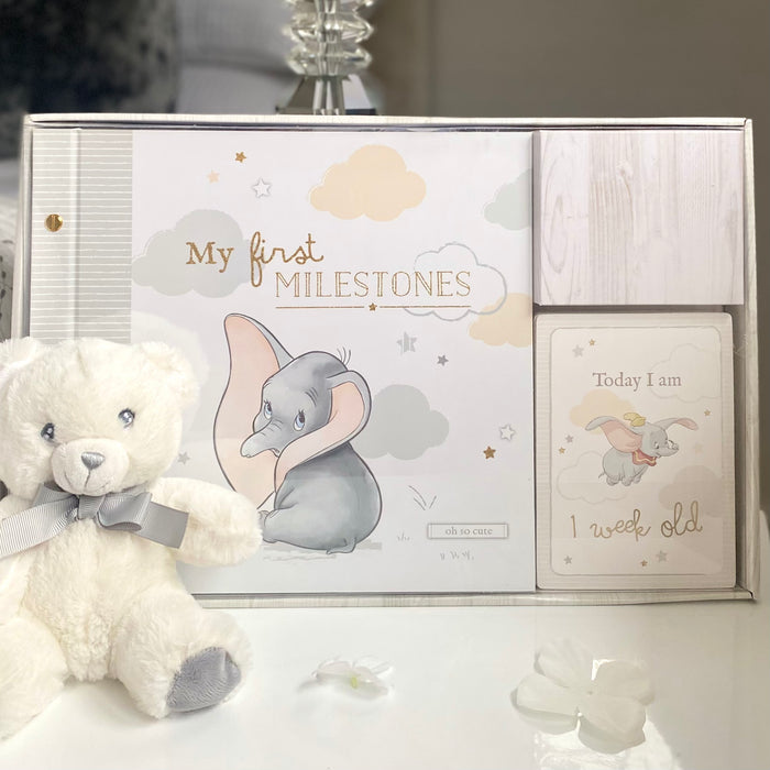 Magical Beginnings Album & Milestone Card Set by Disney Baby