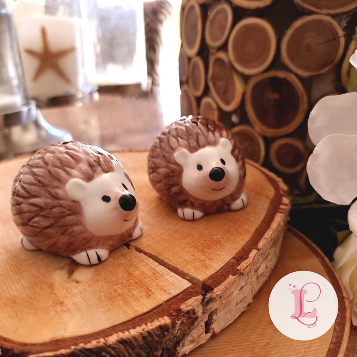 Hedgehog Salt & Pepper Set