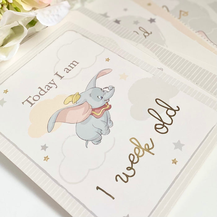 Milestone Cards by Disney Baby