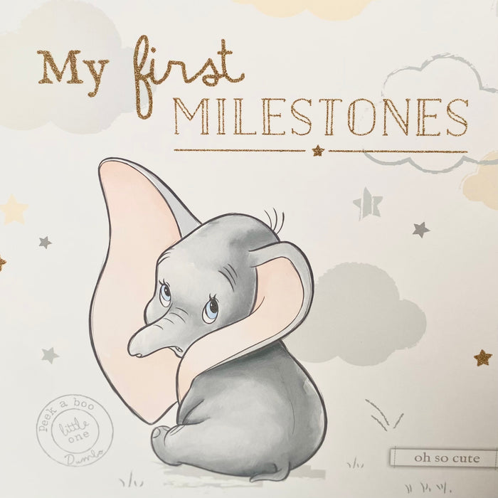 Magical Beginnings Album & Milestone Card Set by Disney Baby