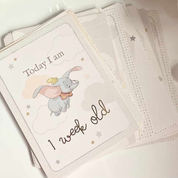 Magical Beginnings Album & Milestone Card Set by Disney Baby