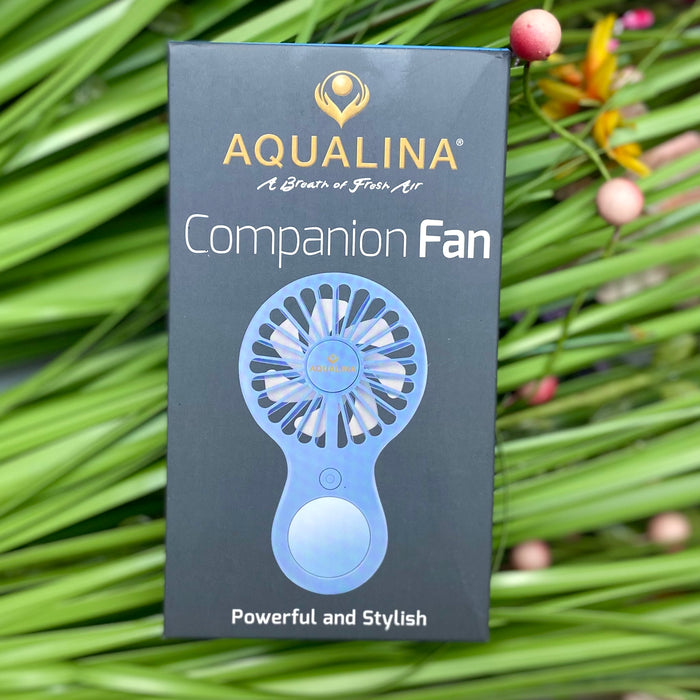 Handheld Companion Fan - Blue