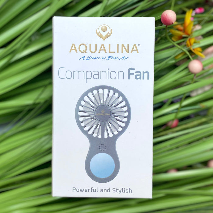 Handheld Companion Fan - Grey