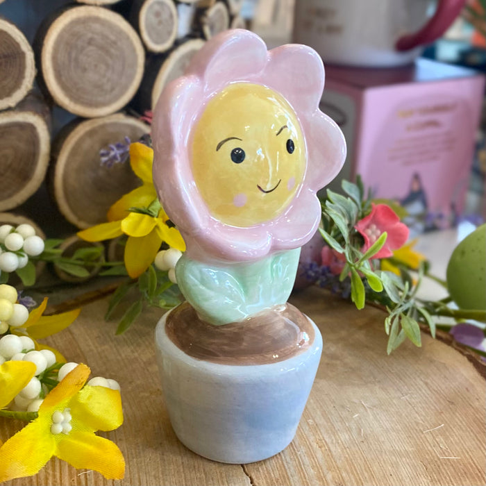 Ceramic Felicity the Flowerpot - Pink