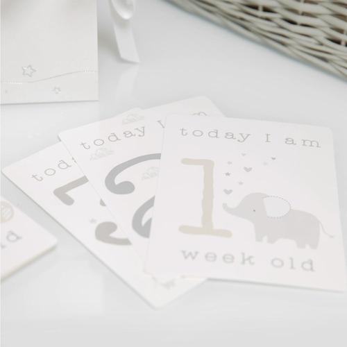 My First Milestones Baby Book & Cards by Twinkle Twinkle