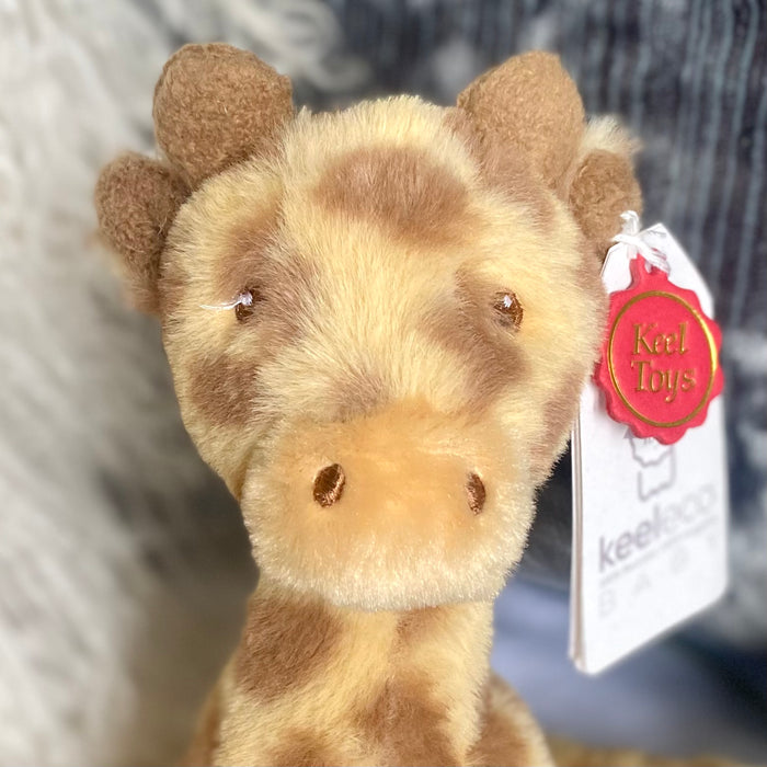 Small Huggy Giraffe by Keel Toys