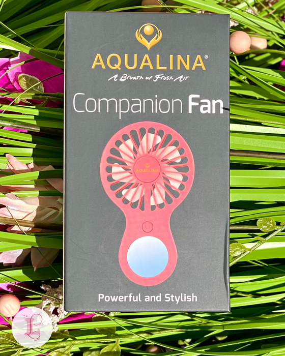 Handheld Companion Fan - Pink